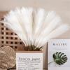 Beautiful for Wedding Party Decor Fluffy Pampas Bouquet Artificial Flowers Pampas Grass Fake Reeds