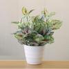 Perilla Leaf Green Potted Plants 7 Heads Fake Plant  Wedding Party Decor