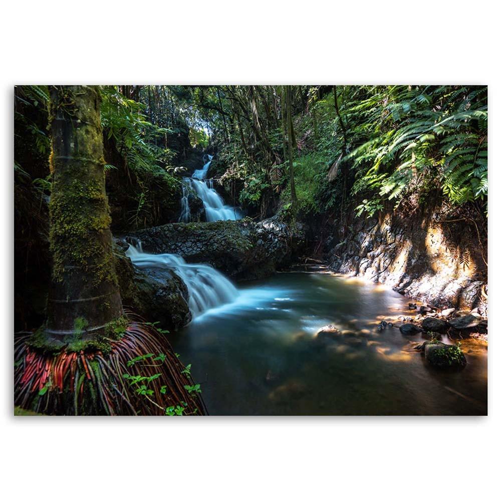 Canvas print, Waterfall in the tropics