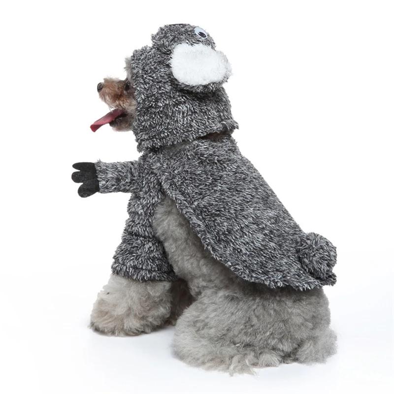 Забавная одежда для собак, карнавальный костюм для собак, наряды на Хэллоуин, комплект одежды для домашних животных, вечерние вечерние, новинка, одежда для маленьких собак