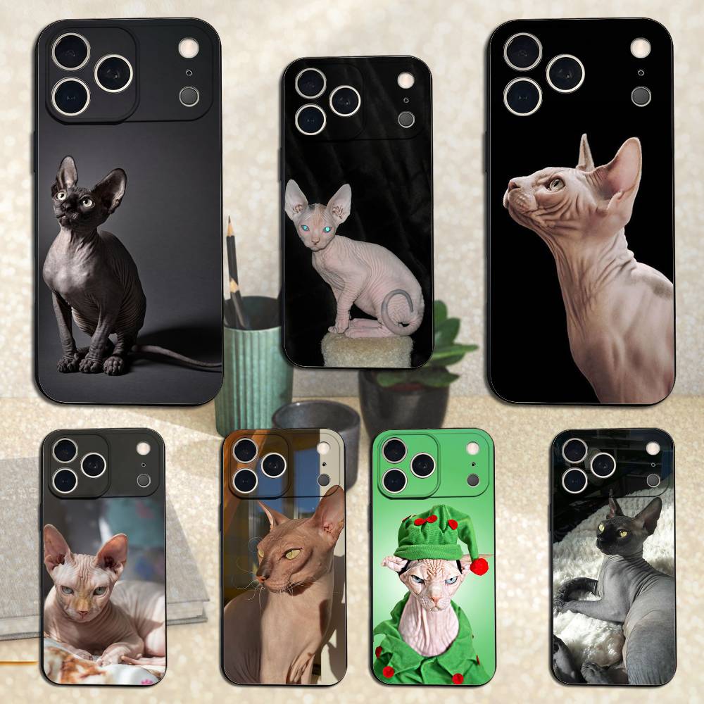 Чехол для iPhone 11,12,15,14,13,16,17,Plus,Pro Max,XS,X,XR,SE,Mini,8,7 с изображением кошки породы Сфинкс, Мягкий силикон, Черный