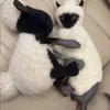 Зимняя одежда Кошка Сфинкс Утолщенная Теплая Четырехлапый Свитер Пальто для кошки Ягненок Двусторонний Велюр Пижама для питомца Для Девон Рекса