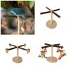 Rotating Toy for Bird Perch Wood Stand Rotating Scratchers Perch Molar Chew Toy for Parrots Parakeets Toy Bird