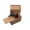 Funny Wooden Scare Box Scary Spider In The Case Prank Joke Trick Play Toys Gift