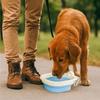 Food Grade Collapsible Dog Water Bowl Lightweight Puppy Food Container Pet Travel Feeder  Outdoor
