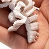 Миниатюрная 3D-печатная модель скелета динозавра, шарнирная фигурка динозавра, коллекционный настольный декор для детей, подростков, взрослых