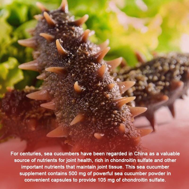 Grevip - Sea Cucumber 1000mg Extract Dietary Supplement Capsules - Joint Health