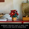 LEGO Icons Poinsettia Building Set Искусственные цветы Рождественские украшения Настольные украшения для взрослых Идеи подарков для любимых и близких 10370 - и 18+ -