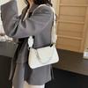 2024 Spring Fashion Women's Chain Strap Crossbody Bag Elegant Minimalist Small Handbag