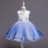 Girls Princess Dress Sleeveless Party Gown Toddler Little Kids Floral Lace Ruffle Design Fall Winter