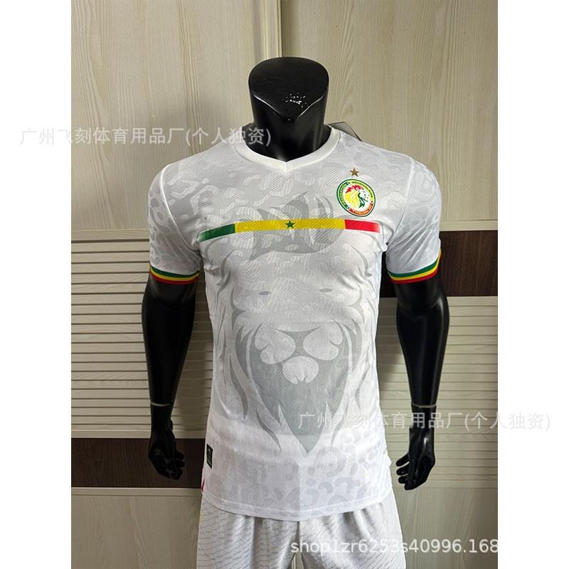 2026 Africa Cup National Team Fan Jersey Football Training Shirt Men Women Sports Running