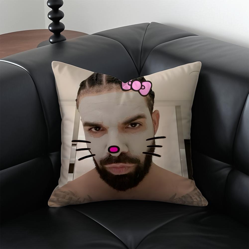 funny ddrake meme Cushion Cover Pillow Case Antidustmite Invisible zipper silky plush cushion