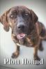 Книга Plott Hound : Dog Breed Overview and Guide