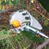 Metal Fruit Picker with Teeth Fruit Harvesting Tool with Bag Portable Orchard Fruit Picking Tool for Peach Orange Pear Trees