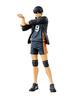 Тобио Кагеяма Один предмет Обычный цвет Haikyu!! СОЗДАТЕЛЬ×СОЗДАТЕЛЬ-КАГЕЯМА ТОБИО- Вер.