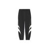 Li Ning Спортивная коллекция Жизнь Трикотажные спортивные штаны Мужские Черные AKLS975-3