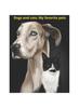 Книга Dogs and Cats : My Favorite Pets