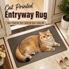Cat Printed Diatomite Door Mat Absorbent Home Floor Mat Cute Entryway Rug  Porch
