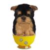 Realistic Dog Tea Cup Plush Toy 16cm (Yorkshire)