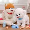 1 комплект детской электронной плюшевой игрушки для собак с аксессуарами для ухода за домашними животными, интерактивная ходячая игрушка в виде щенка, кролика, кошки, плюшевая игрушка для малышей, мальчиков и девочек, развивающее животное