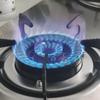 Новая бытовая газовая плита с двумя конфорками, кухонная плита с высокой температурой, встроенная газовая плита из нержавеющей стали
