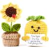 2PCS Positive Emotional Support Pineapple Sunflower Pot Home Room Decoration Crochet Pineapple Dolls With Card Christmas Gift