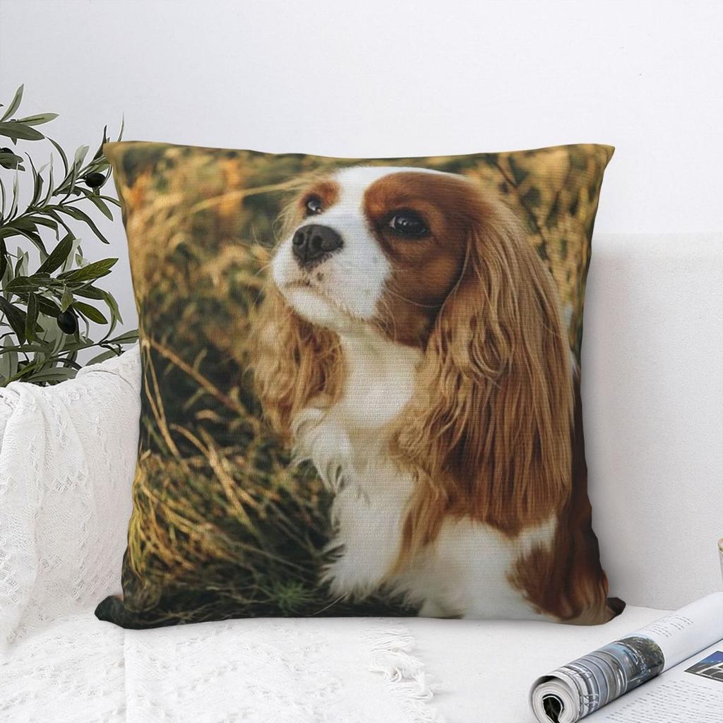 Custom Cavalier King Charles Spaniel Square Pillowcase Cushion Comfort Throw Pillow Sofa Cushions Used for Home Bedroom