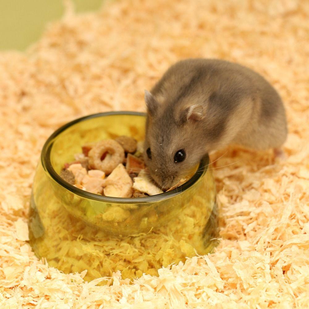 Plastic Hamster Water Bowl Bite Resistant Rat Food Water Dish  For Rats Hamster Guinea Pig