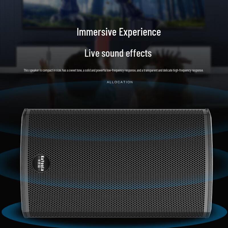 KaYouLa 10-inch Full-range Stage Speaker