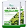 Lipsa Giant Itadori Приблизительно 3 месяца запаса x 2 пакета Капсулы флавоноидов Сделано в Японии C-304-2