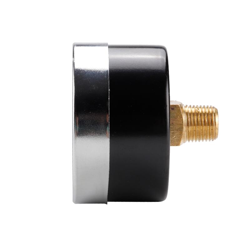 TS-Z51 Dual Scale Economic Pressure Gauge Water Pressure Gauge Stainless Steel 1/8'' NPT Lower Mount