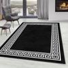 Digital Printing Washable Non-Slip Floor Living Room Carpet RVG0293-SD731