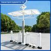 TLXT Smart Dual Walker Outdoor Fitness Machine