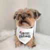 Santa's Favorite Dog Bandana Christmas Eve Party Decor New Year Holiday Photo Props Festive Christmas Pet Scarf Pet Accessory