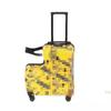 Ruishainna 20-inch Hard-Shell Carry-On Luggage