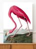 Винтажный постер с розовым фламинго