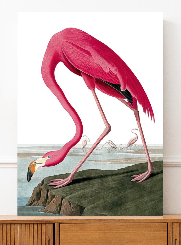 Винтажный постер с розовым фламинго