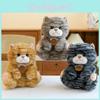 Cute Cat Plush Toys Cartoon Girl Children Bedroom Decoration Dolls Presents