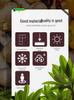 Large Plastic Flower and Vegetable Planting Box for Balcony, Courtyard, or Rooftop Gardens