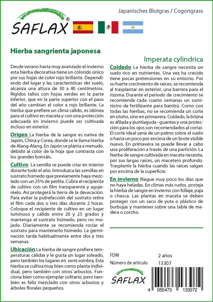 SAFLAX Когонгграсс - 50 семян - Imperata cylindrica