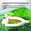 Fish Feeding Ring Floating Feeder Aquarium Plant Rings Duckweed Management Tool Fish