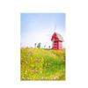 House Corner Theme Backdrop for Summer Weddings,Birthdays,Graduations,Party Decor Banner,Picturesque Scene,Tapestry