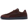 Кеды Club Low top для скейтбординга, унисекс, темно-коричневые 404630-01