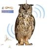 Bird Scarer Devices Decorative Owl Scarecrow Pendant Realistic Bird Scare Tools With Bell Garden Scarecrow Scare Birds Away