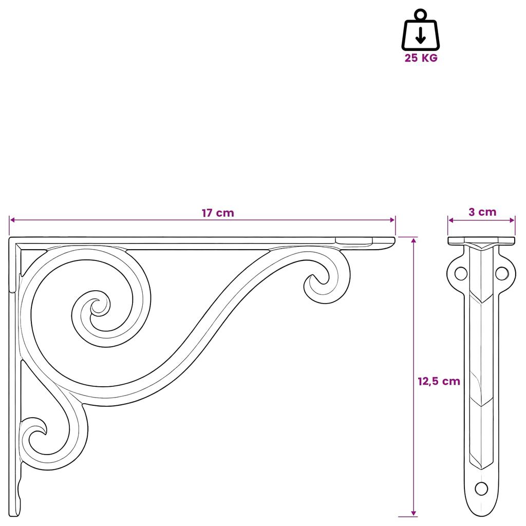 Wall Shelf Brackets 2 pcs Black 12.5 x 17 x 3 cm Steel