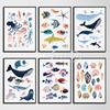 Морская жизнь Ракушки Тропические рыбы Кит Постеры и принты Картина на холсте Настенное искусство Картина для гостиной Домашний Морской декор