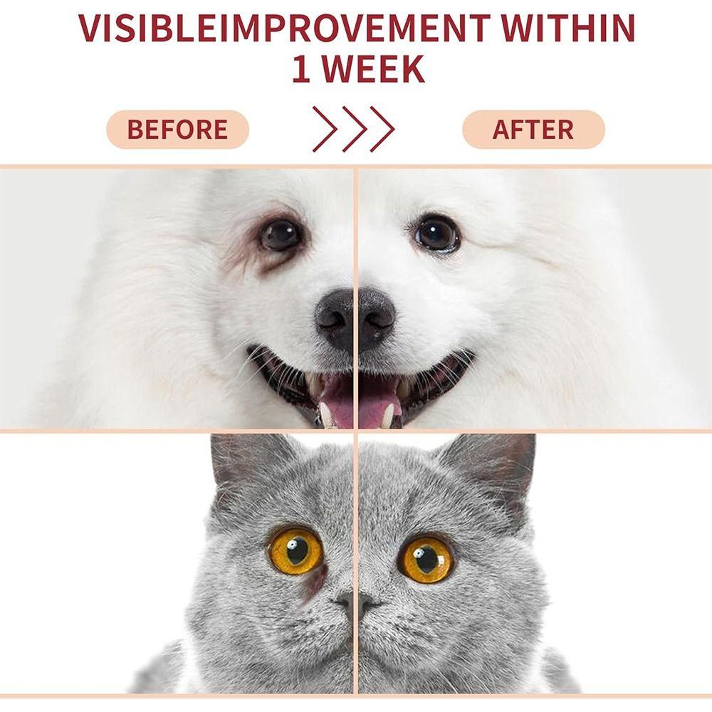 Безопасный и бережный уход за глазами с профессиональным кремом от пятен от слез у собак и кошек