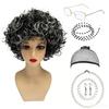 Grandma Costume Accessories Set with Wig, Glasses with Chain, Hairnet, Necklace, Bracelet and Earrings