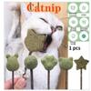 Мятный лист, кошачья мята, закуски, натуральные кошачьи леденцы, игрушка для кошек с пятиконечной звездой