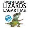 Книга Lizards / Lagartijas